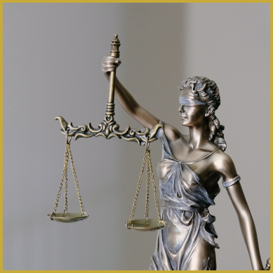 Court Appeals against Sentence and Trial Outcomes