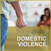 DOMESTIC VIOLENCE SERVICES - For aggrieved and respondents in complex domestic and family violence matters